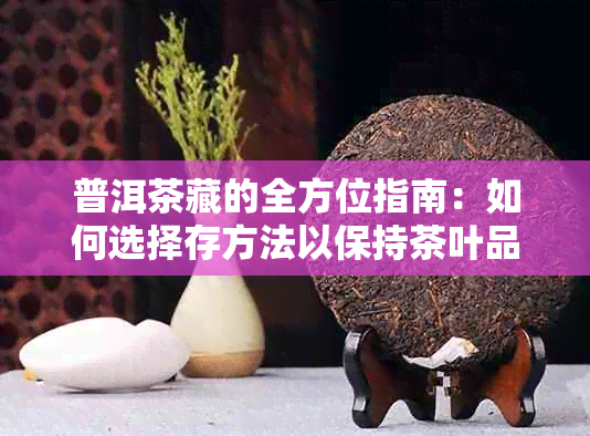 普洱茶藏的全方位指南：如何选择存方法以保持茶叶品质