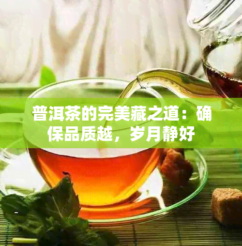 普洱茶的完美藏之道：确保品质越，岁月静好