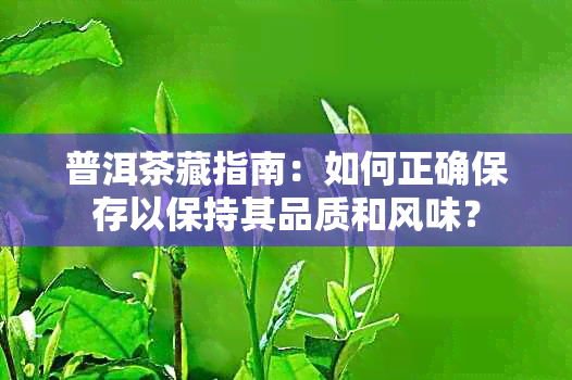 普洱茶藏指南：如何正确保存以保持其品质和风味？