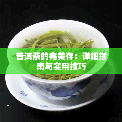 普洱茶的完美存：详细指南与实用技巧