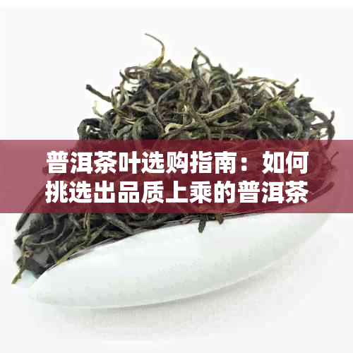 普洱茶叶选购指南：如何挑选出品质上乘的普洱茶