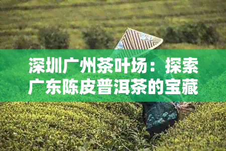 深圳广州茶叶场：探索广东陈皮普洱茶的宝藏之地