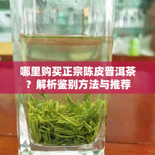 哪里购买正宗陈皮普洱茶？解析鉴别方法与推荐