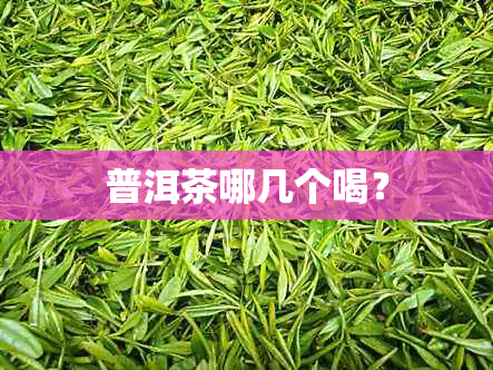 普洱茶哪几个喝？