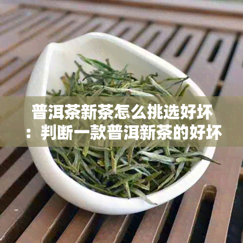 普洱茶新茶怎么挑选好坏：判断一款普洱新茶的好坏方法