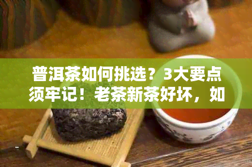 普洱茶如何挑选？3大要点须牢记！老茶新茶好坏，如何挑选的？