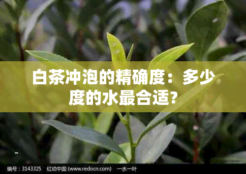 白茶冲泡的精确度：多少度的水最合适？