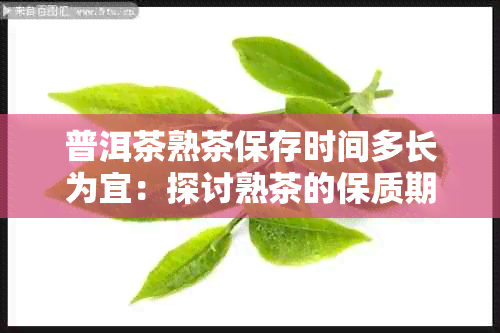 普洱茶熟茶保存时间多长为宜：探讨熟茶的保质期及其存方法