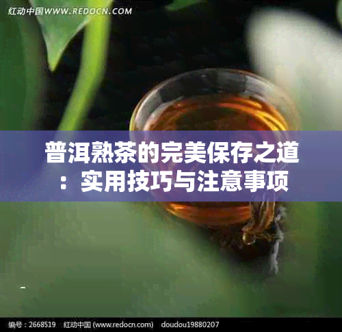 普洱熟茶的完美保存之道：实用技巧与注意事项