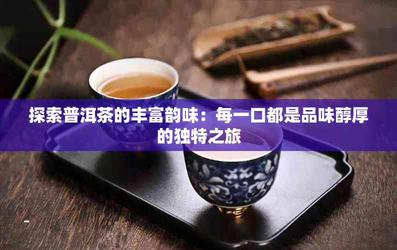 探索普洱茶的丰富韵味：每一口都是品味醇厚的独特之旅