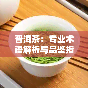 普洱茶：专业术语解析与品鉴指南，助您全面了解与鉴这种独特茶叶