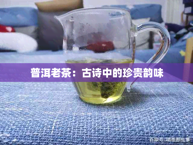 普洱老茶：古诗中的珍贵韵味