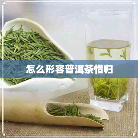 怎么形容普洱茶惜归