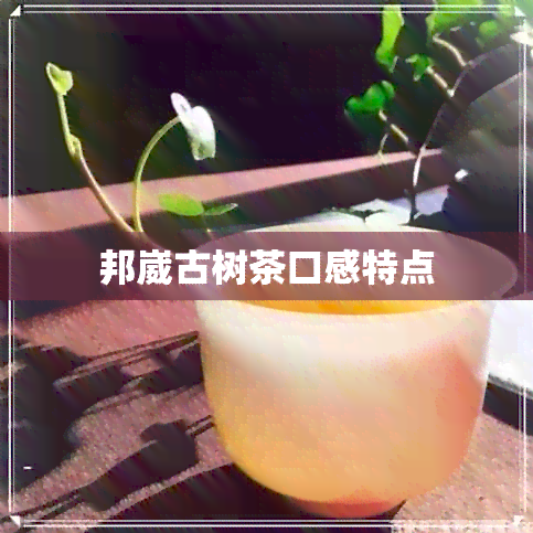 邦崴古树茶口感特点