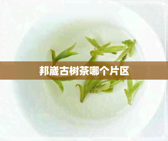 邦崴古树茶哪个片区