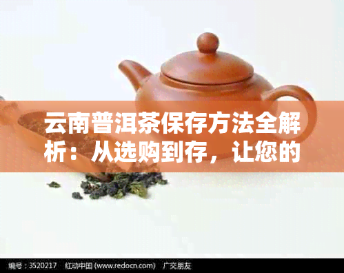 云南普洱茶保存方法全解析：从选购到存，让您的茶叶保持品质！