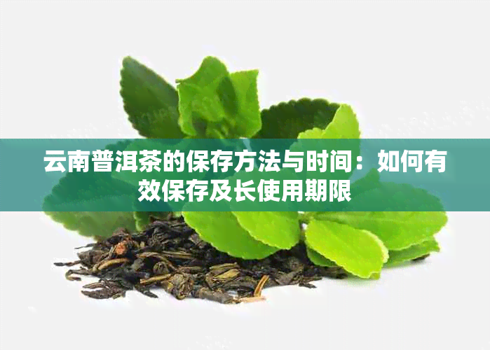 云南普洱茶的保存方法与时间：如何有效保存及长使用期限