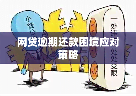 网贷逾期还款困境应对策略