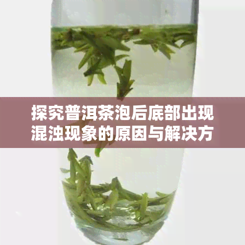 探究普洱茶泡后底部出现混浊现象的原因与解决方法