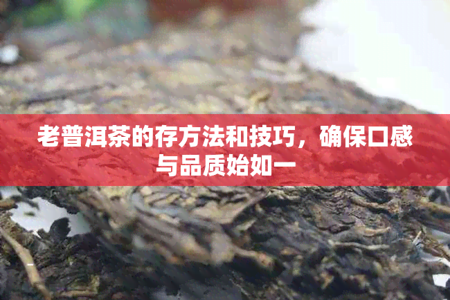 老普洱茶的存方法和技巧，确保口感与品质始如一