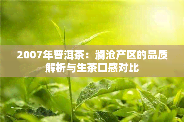 2007年普洱茶：澜沧产区的品质解析与生茶口感对比