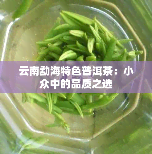 云南勐海特色普洱茶：小众中的品质之选