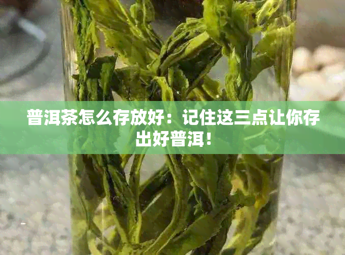 普洱茶怎么存放好：记住这三点让你存出好普洱！