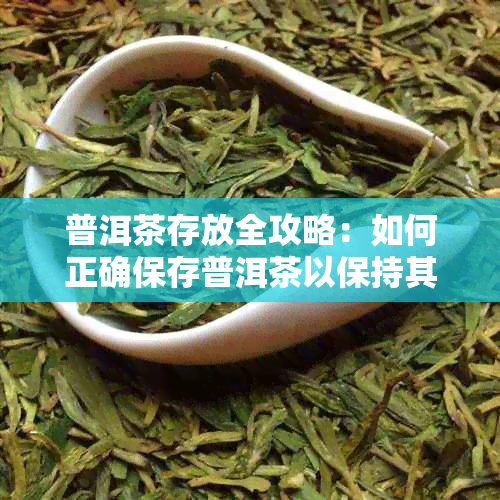 普洱茶存放全攻略：如何正确保存普洱茶以保持其品质和口感