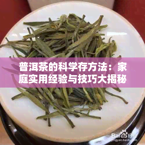 普洱茶的科学存方法：家庭实用经验与技巧大揭秘