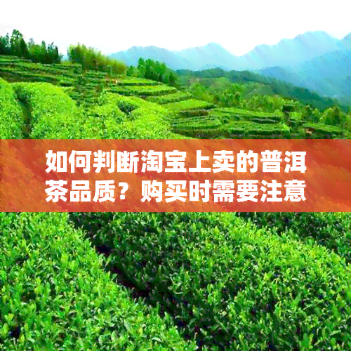 如何判断淘宝上卖的普洱茶品质？购买时需要注意哪些事项？