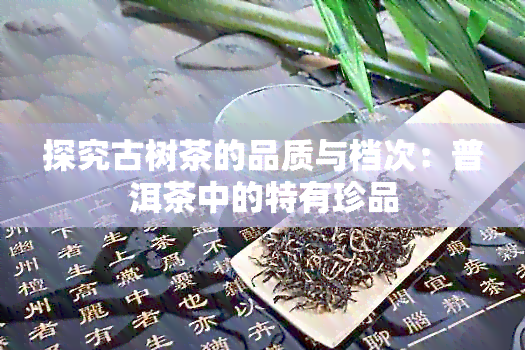 探究古树茶的品质与档次：普洱茶中的特有珍品