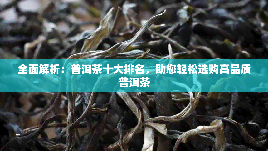 全面解析：普洱茶十大排名，助您轻松选购高品质普洱茶