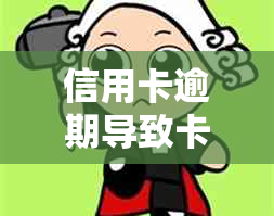 信用卡逾期导致卡片冻结，如何快速处理还款恢复使用？