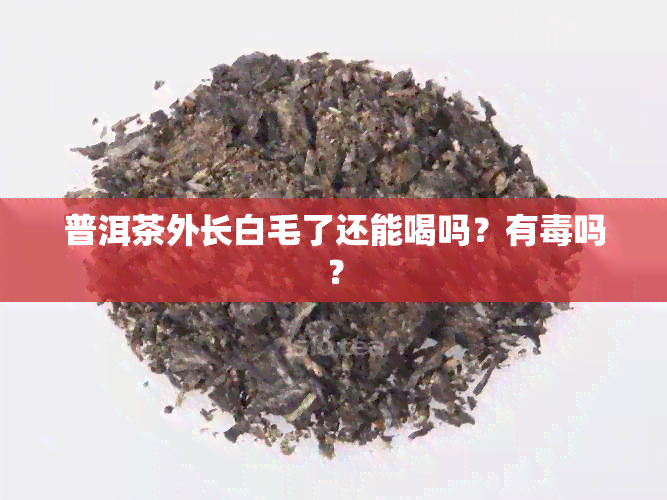 普洱茶外长白毛了还能喝吗？有吗？