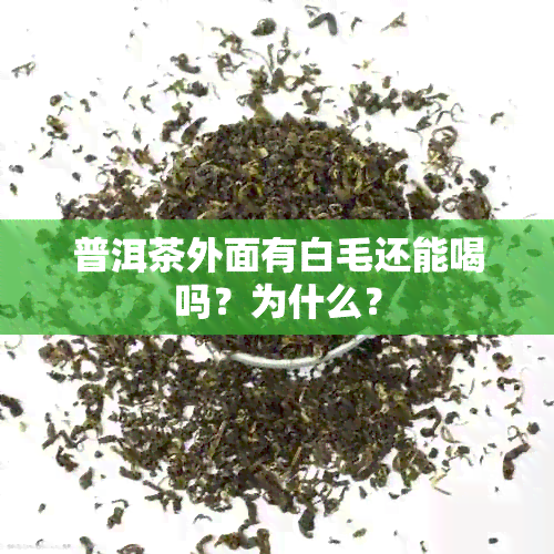 普洱茶外面有白毛还能喝吗？为什么？