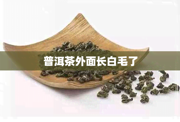 普洱茶外面长白毛了