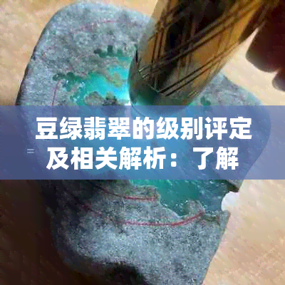 豆绿翡翠的级别评定及相关解析：了解其品质与价值的关键指南