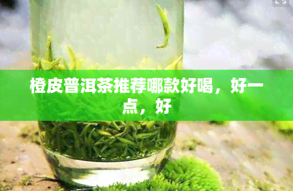 橙皮普洱茶推荐哪款好喝，好一点，好