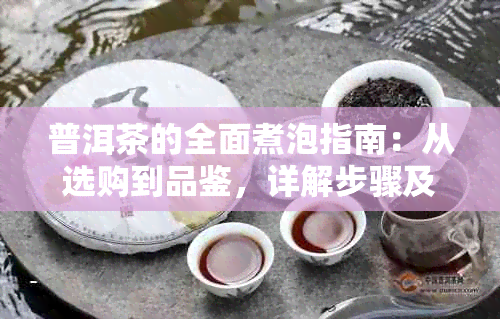 普洱茶的全面煮泡指南：从选购到品鉴，详解步骤及技巧