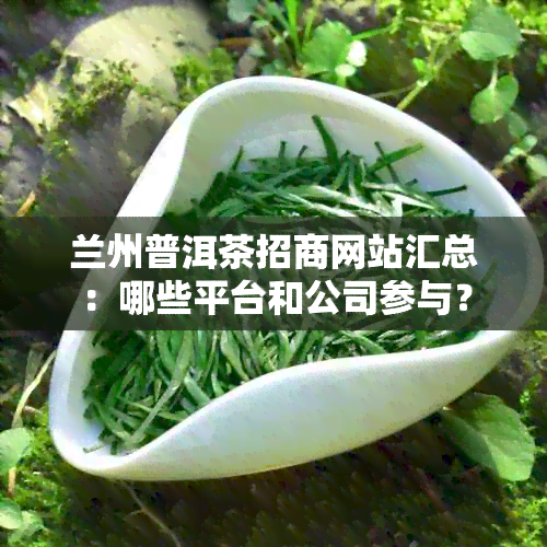 兰州普洱茶招商网站汇总：哪些平台和公司参与？