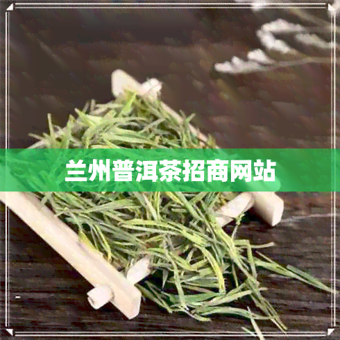 兰州普洱茶招商网站