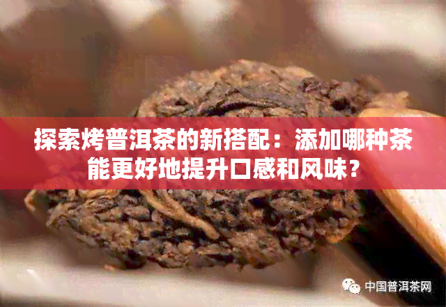 探索烤普洱茶的新搭配：添加哪种茶能更好地提升口感和风味？