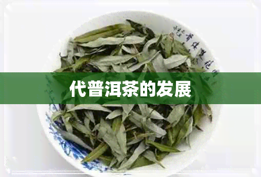 代普洱茶的发展