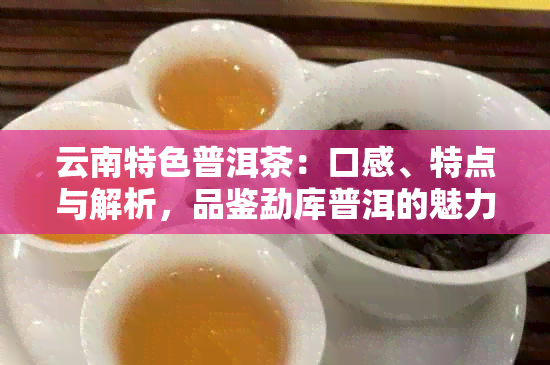 云南特色普洱茶：口感、特点与解析，品鉴勐库普洱的魅力