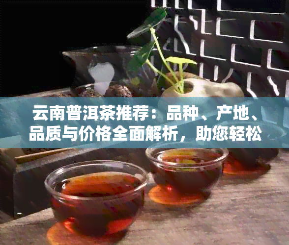 云南普洱茶推荐：品种、产地、品质与价格全面解析，助您轻松选购优质茶叶