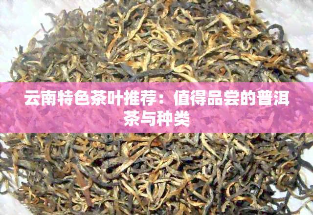 云南特色茶叶推荐：值得品尝的普洱茶与种类