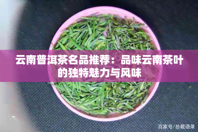 云南普洱茶名品推荐：品味云南茶叶的独特魅力与风味