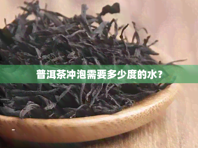 普洱茶冲泡需要多少度的水？