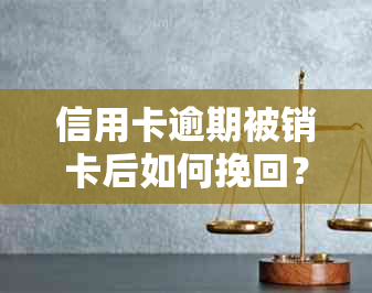 信用卡逾期被销卡后如何挽回？解决方法一网打尽！