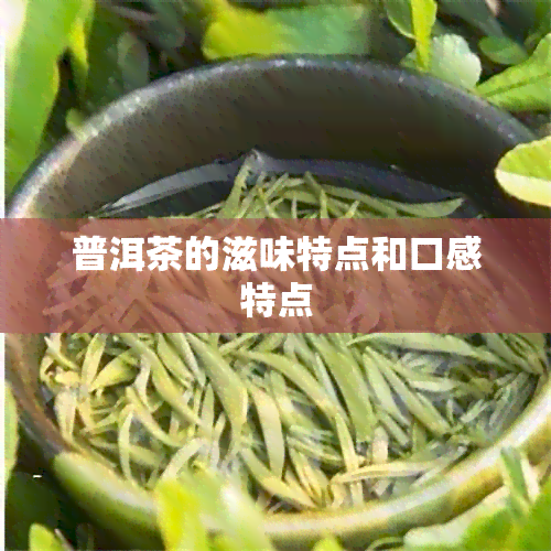 普洱茶的滋味特点和口感特点